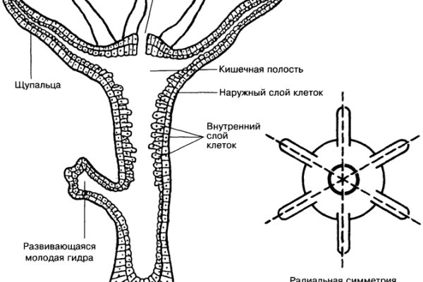 Кракен сайт маркетплейс